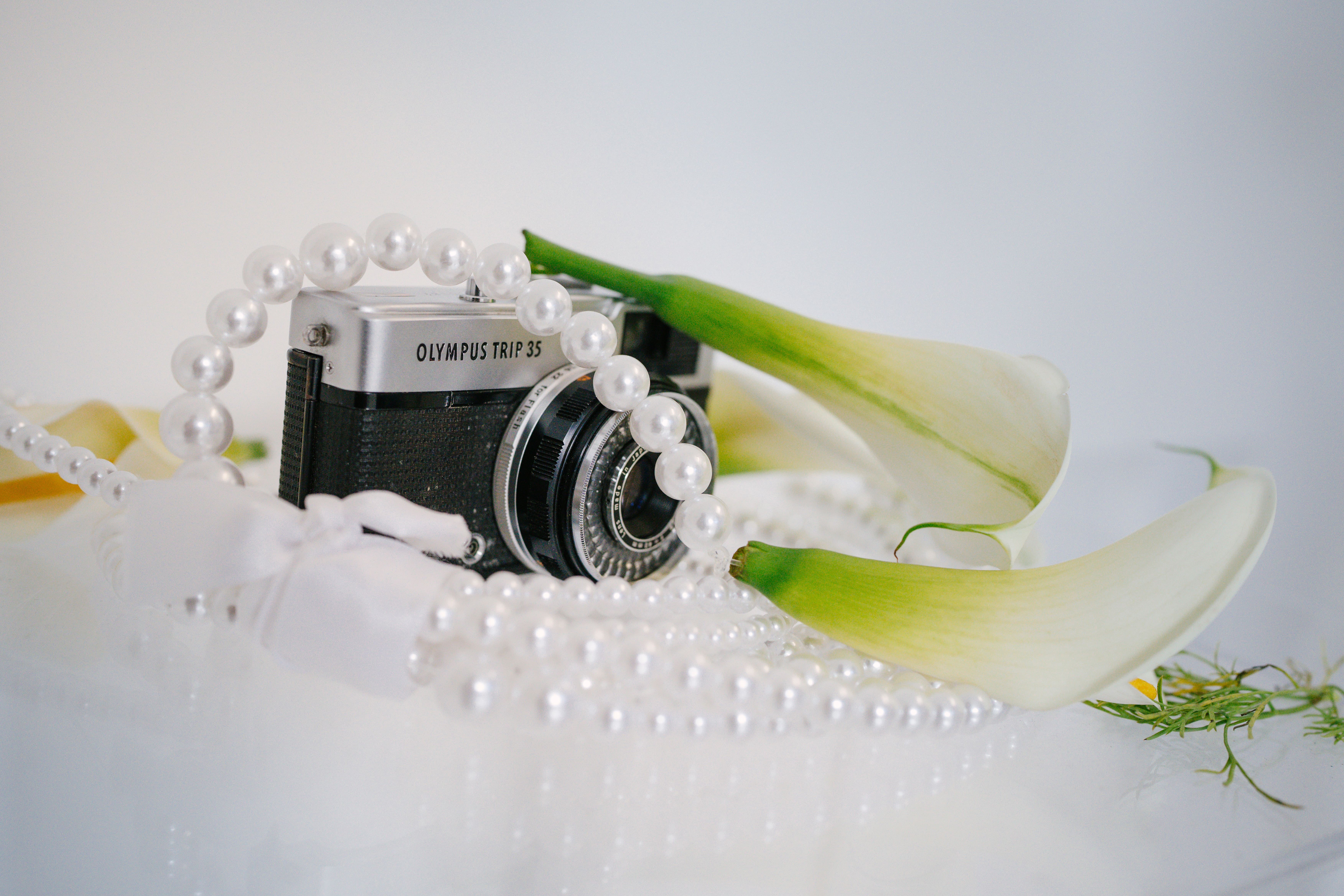 Portfolio Media 16