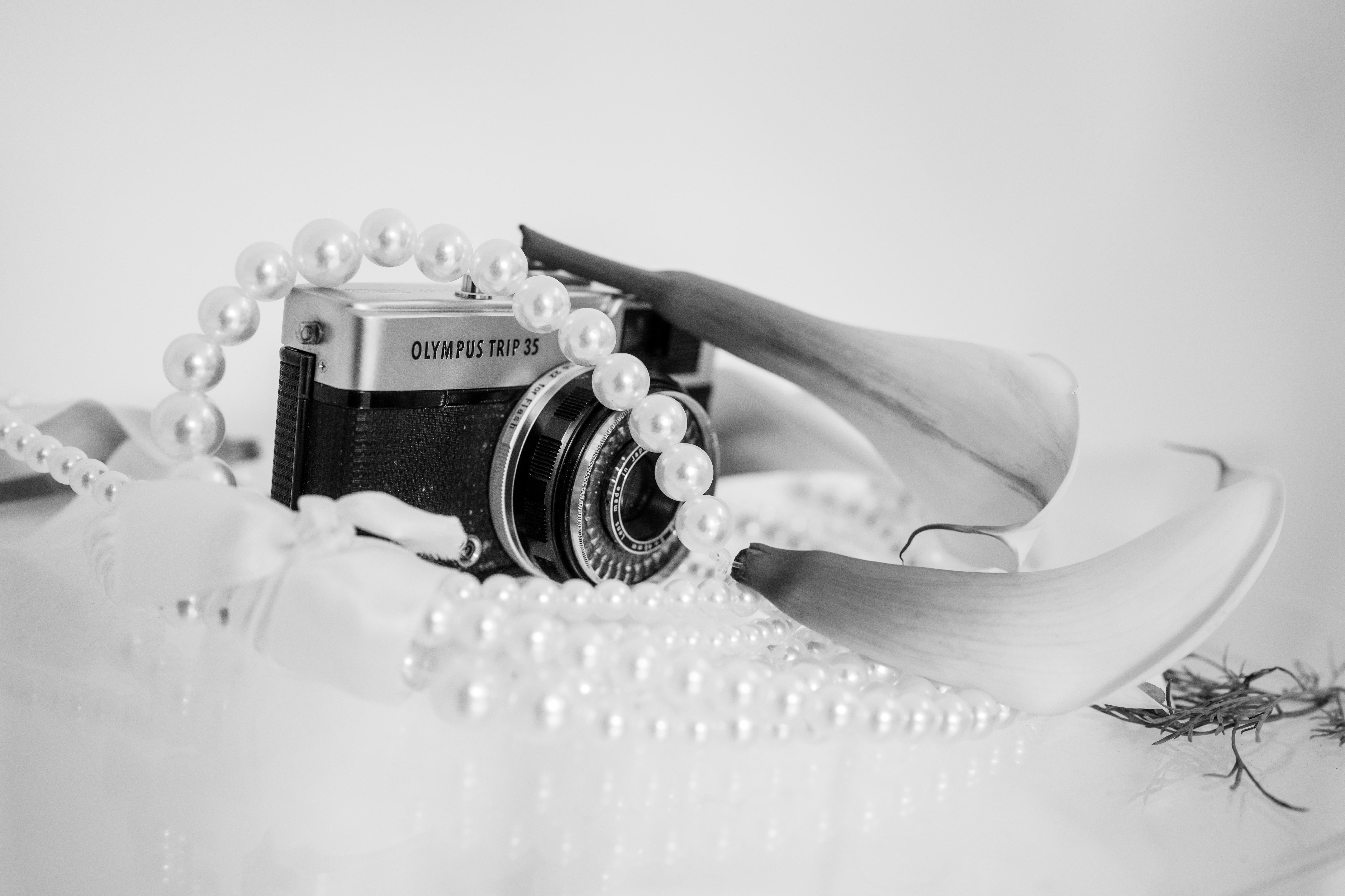Portfolio Media 94